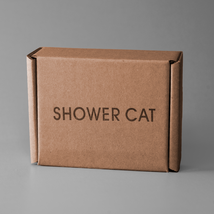 gato de la ducha